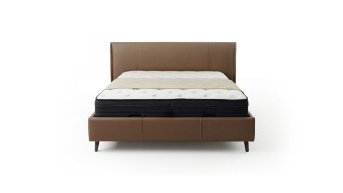 Salmoni Beds